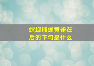 螳螂捕蝉黄雀在后的下句是什么