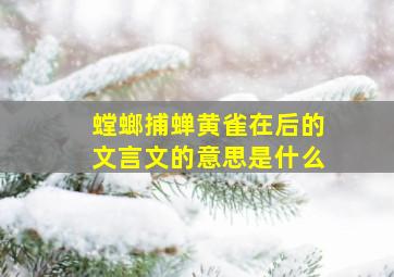 螳螂捕蝉黄雀在后的文言文的意思是什么