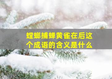 螳螂捕蝉黄雀在后这个成语的含义是什么