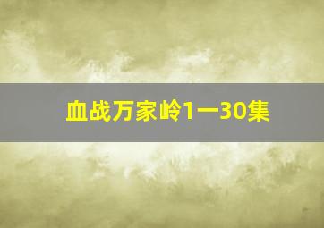 血战万家岭1一30集