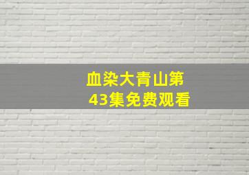 血染大青山第43集免费观看