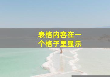 表格内容在一个格子里显示