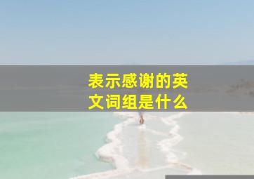 表示感谢的英文词组是什么