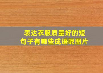 表达衣服质量好的短句子有哪些成语呢图片