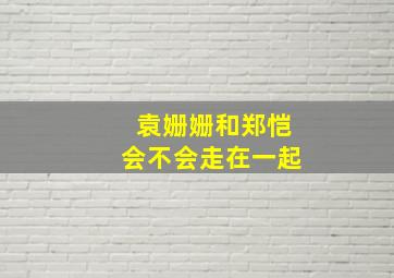 袁姗姗和郑恺会不会走在一起