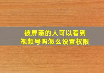 被屏蔽的人可以看到视频号吗怎么设置权限