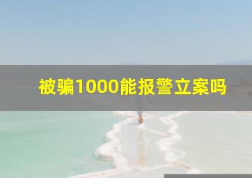 被骗1000能报警立案吗