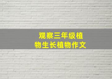 观察三年级植物生长植物作文