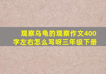 观察乌龟的观察作文400字左右怎么写呀三年级下册