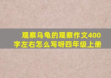 观察乌龟的观察作文400字左右怎么写呀四年级上册