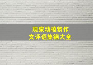 观察动植物作文评语集锦大全