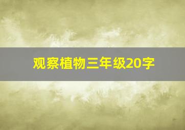 观察植物三年级20字