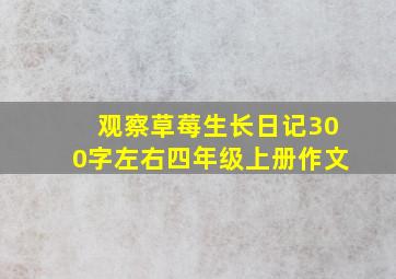 观察草莓生长日记300字左右四年级上册作文