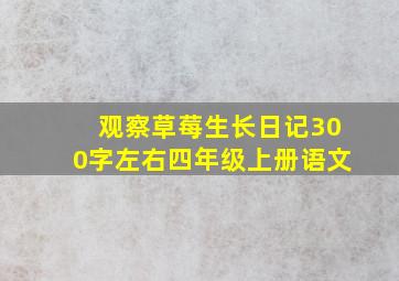 观察草莓生长日记300字左右四年级上册语文