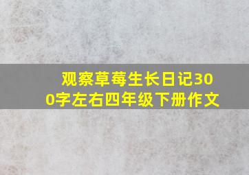 观察草莓生长日记300字左右四年级下册作文