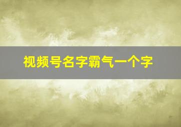 视频号名字霸气一个字