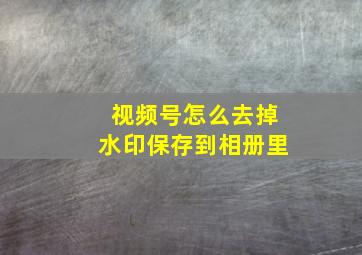 视频号怎么去掉水印保存到相册里