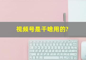 视频号是干啥用的?