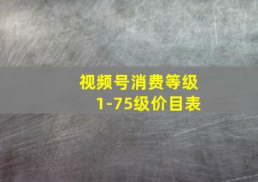 视频号消费等级1-75级价目表