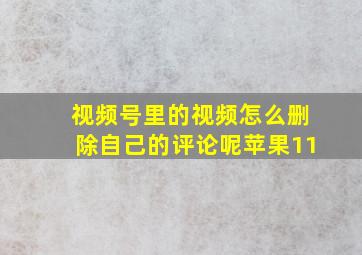 视频号里的视频怎么删除自己的评论呢苹果11