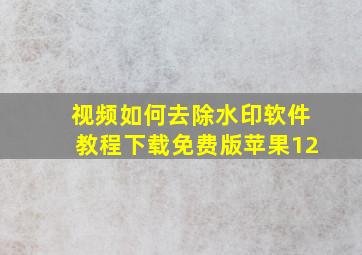 视频如何去除水印软件教程下载免费版苹果12