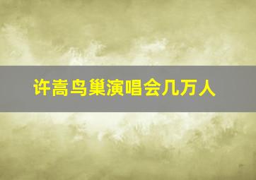 许嵩鸟巢演唱会几万人