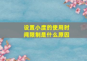 设置小度的使用时间限制是什么原因