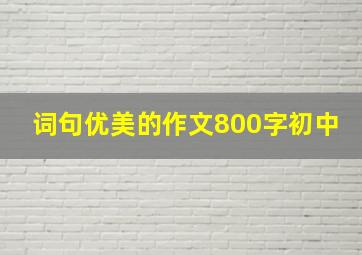 词句优美的作文800字初中