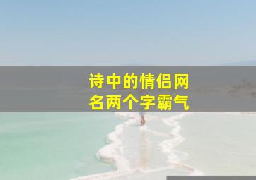 诗中的情侣网名两个字霸气