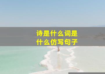 诗是什么词是什么仿写句子