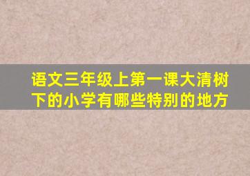 语文三年级上第一课大清树下的小学有哪些特别的地方