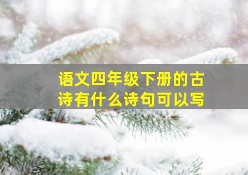 语文四年级下册的古诗有什么诗句可以写