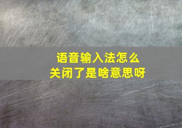 语音输入法怎么关闭了是啥意思呀