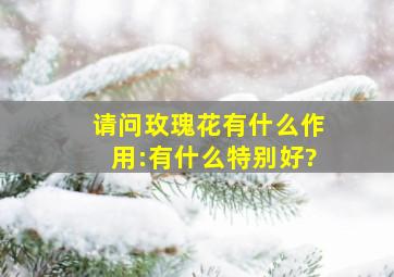 请问玫瑰花有什么作用:有什么特别好?