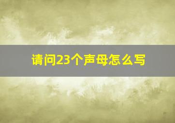 请问23个声母怎么写