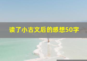 读了小古文后的感想50字