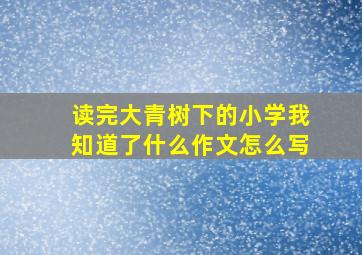 读完大青树下的小学我知道了什么作文怎么写