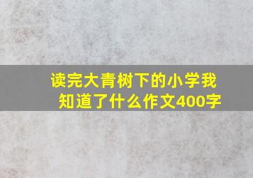 读完大青树下的小学我知道了什么作文400字