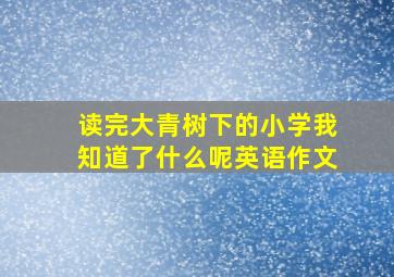 读完大青树下的小学我知道了什么呢英语作文