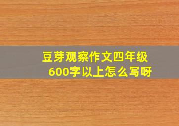 豆芽观察作文四年级600字以上怎么写呀