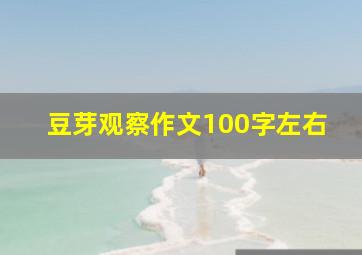 豆芽观察作文100字左右