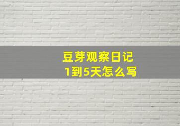 豆芽观察日记1到5天怎么写