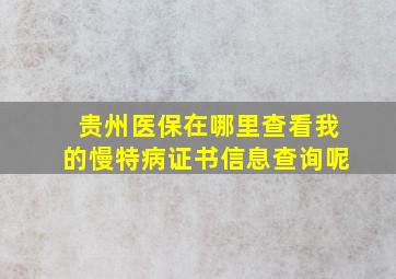 贵州医保在哪里查看我的慢特病证书信息查询呢