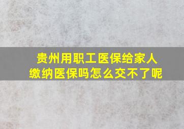 贵州用职工医保给家人缴纳医保吗怎么交不了呢