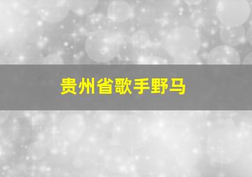 贵州省歌手野马