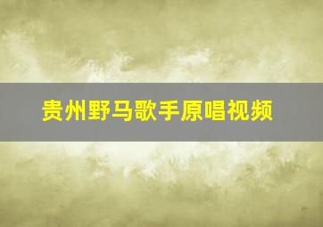 贵州野马歌手原唱视频