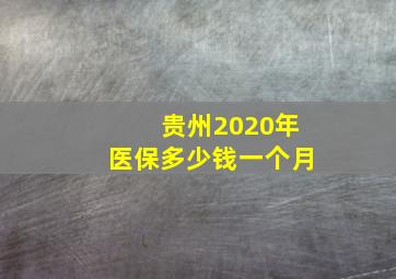 贵州2020年医保多少钱一个月