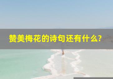 赞美梅花的诗句还有什么?