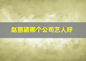 赵丽颖哪个公司艺人好