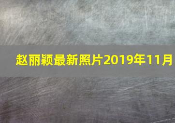 赵丽颖最新照片2019年11月